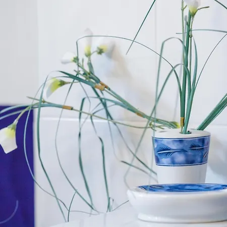 Gold N Blu Casa de Férias *