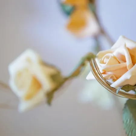 Gold N Blu بيت للعطل Petalídhion