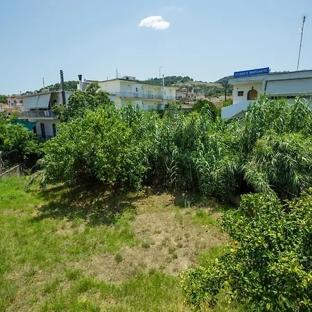 Gold N Blu Πεταλίδι