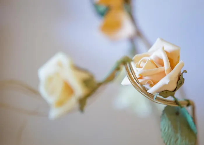 Gold N Blu Дом отдыха Петалидион